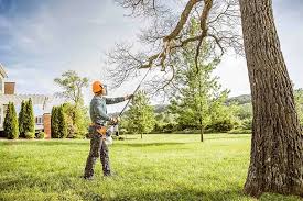 Best Arborist Consultation Services  in Monticello, NY
