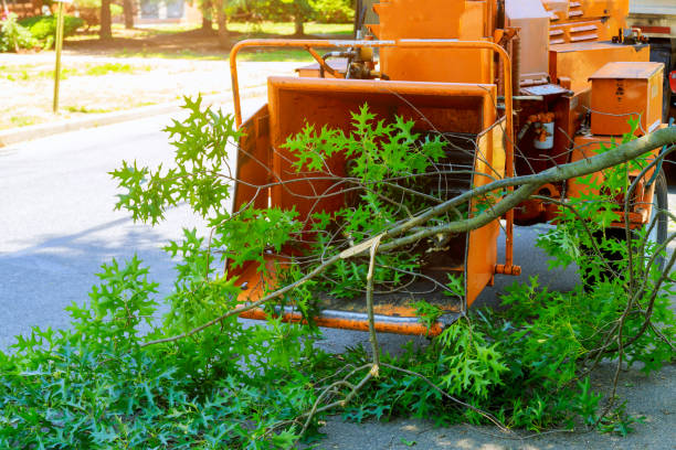Best Tree Preservation Services  in Monticello, NY
