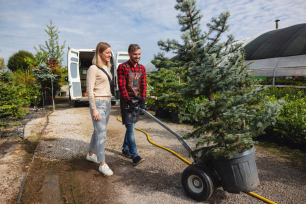  Monticello, NY Tree Services Pros